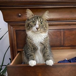 Meet your Posher, Jill